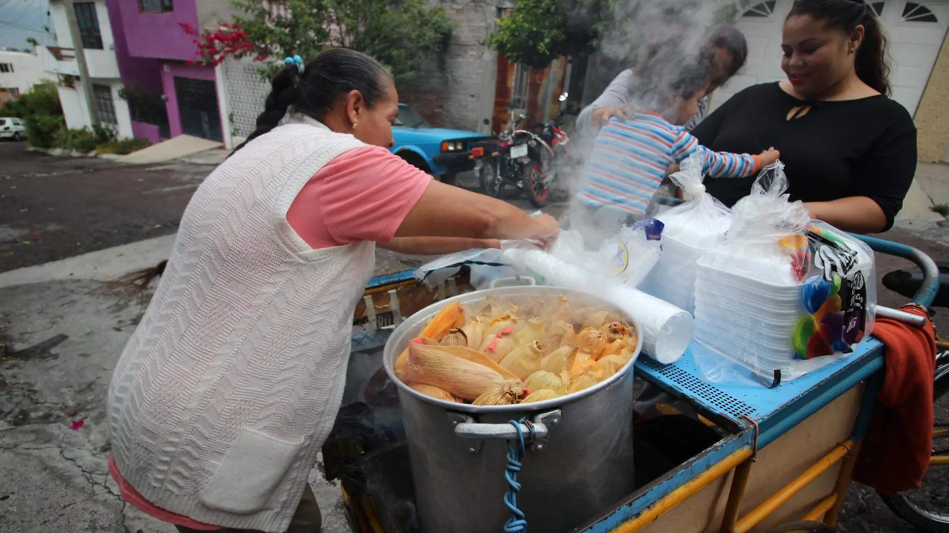 tamales josefina (MLM) (19)